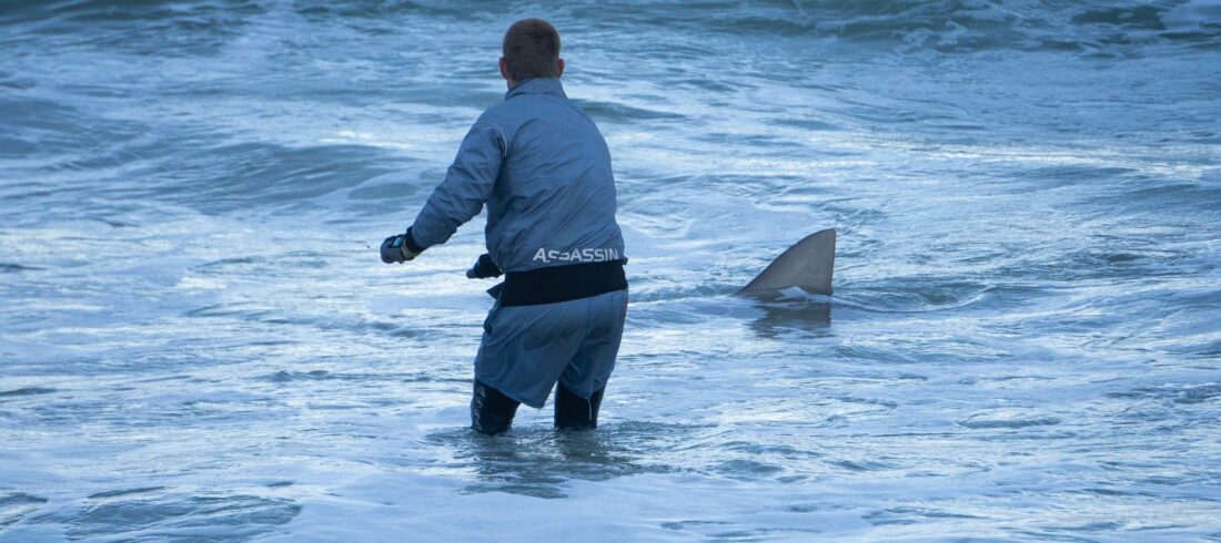 Sette Cama Shark Fishing