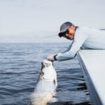 Tarpon in Port Gentil