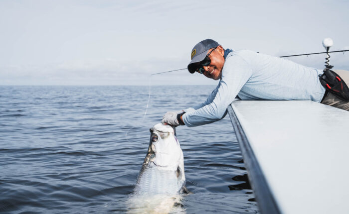 Tarpon in Port Gentil