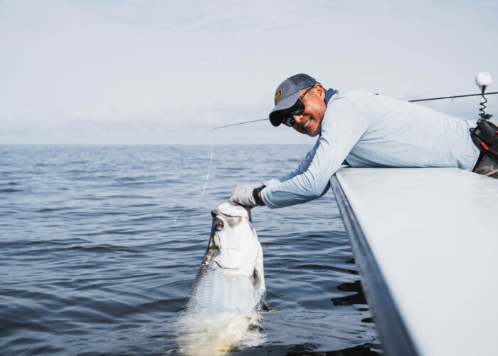 Tarpon_in_Port_Gentil Tarpon in Port Gentil