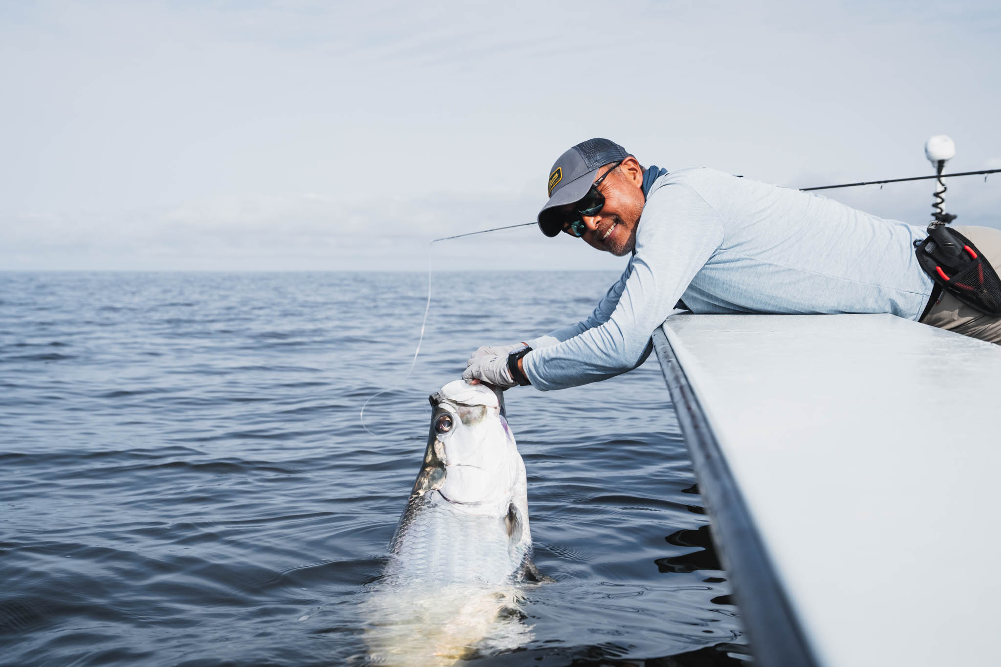 Tarpon in Port Gentil