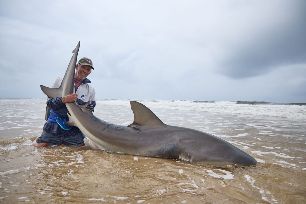 Bullshark Sette Cama Gabon fishing