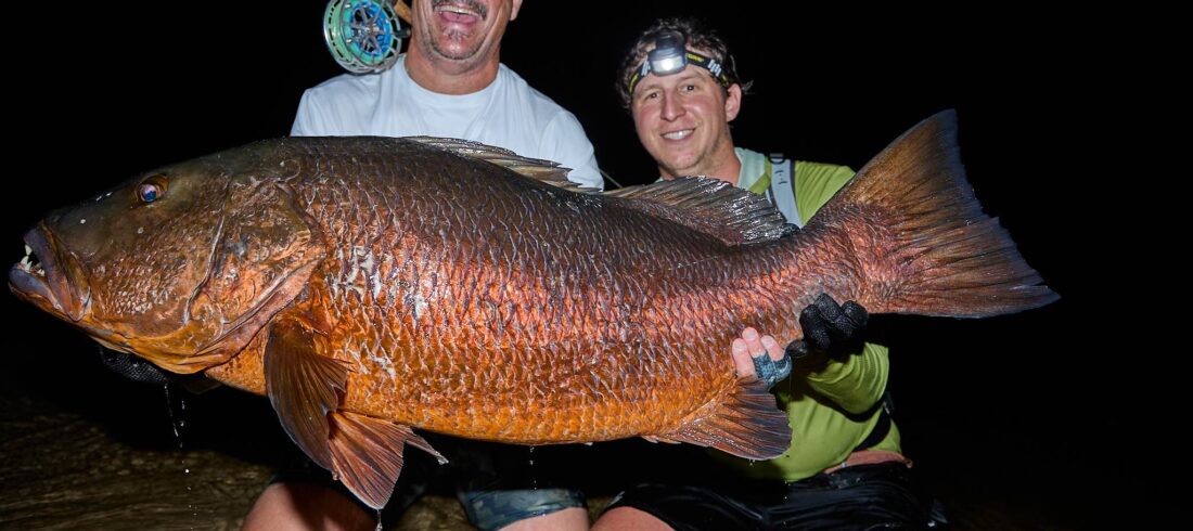 African cubera snapper