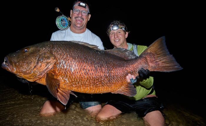 African cubera snapper