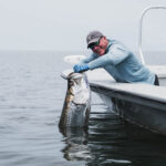 Tarpon_Fishing_In_Port_Gentil Tarpon Fishing in Port Gentil