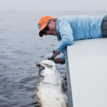 Tarpon Fishing West Africa