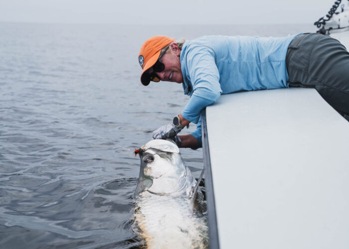 Tarpon Fishing West Africa