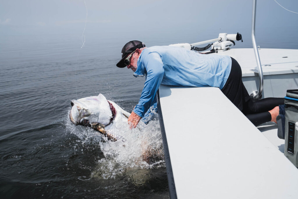 Tarpon Fishing in Gabon West Africa