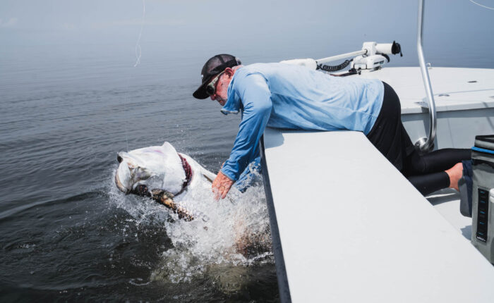 Tarpon Fishing in Gabon West Africa