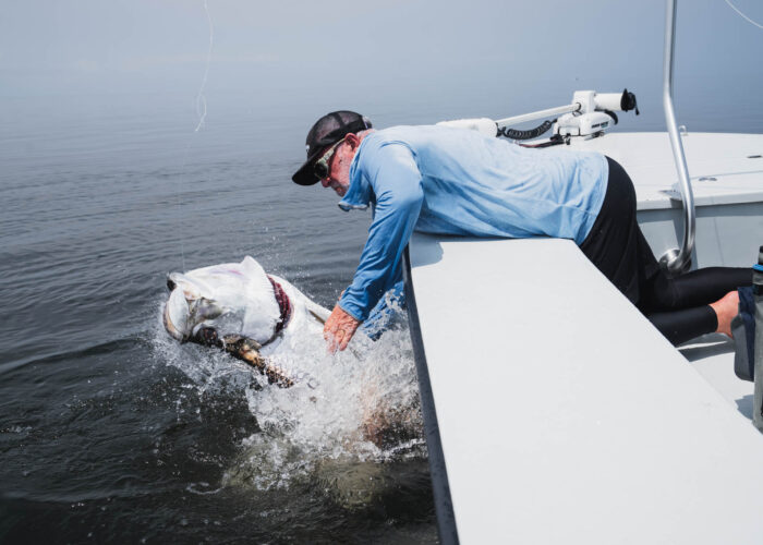 Tarpon_Fishing_in_Gabon_West_Africa Tarpon Fishing in Gabon West Africa