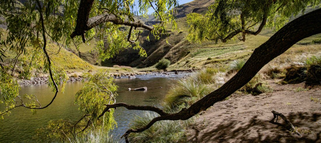 Back Country Trek