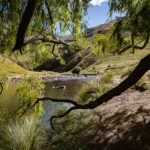 Back Country Trek