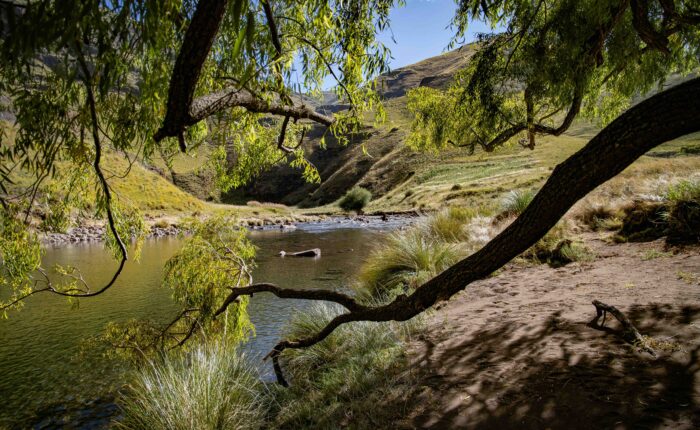 Back Country Trek