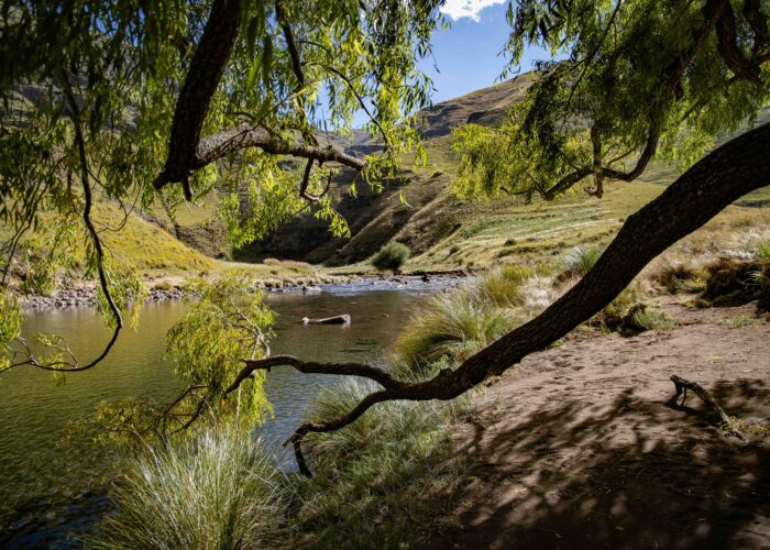 Back Country Trek