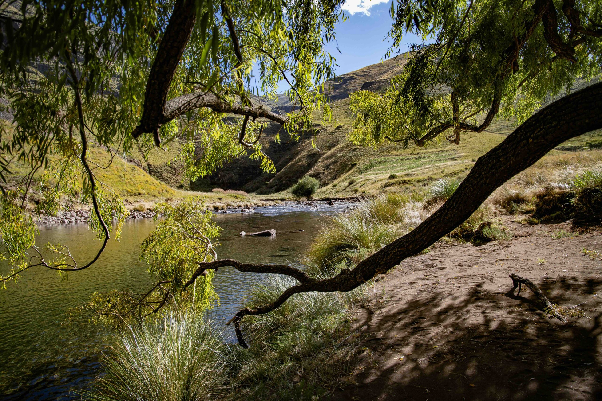 Back Country Trek