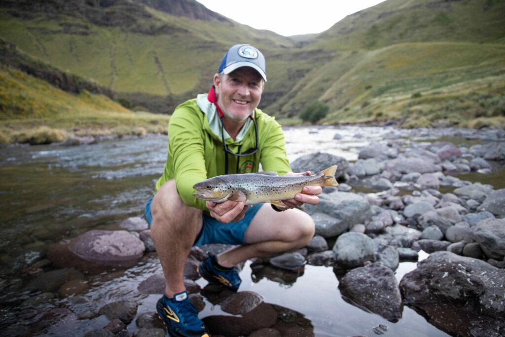 Brown Trout