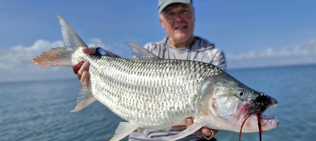 Fly Fishing for Tigerfish