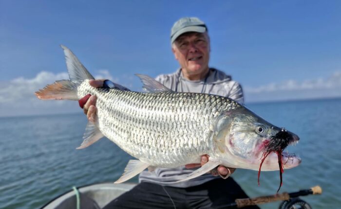 Fly Fishing for Tigerfish