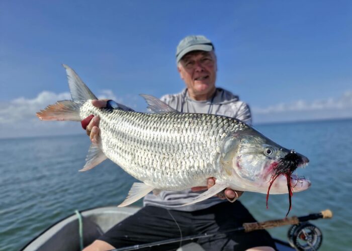 Fly Fishing for Tigerfish