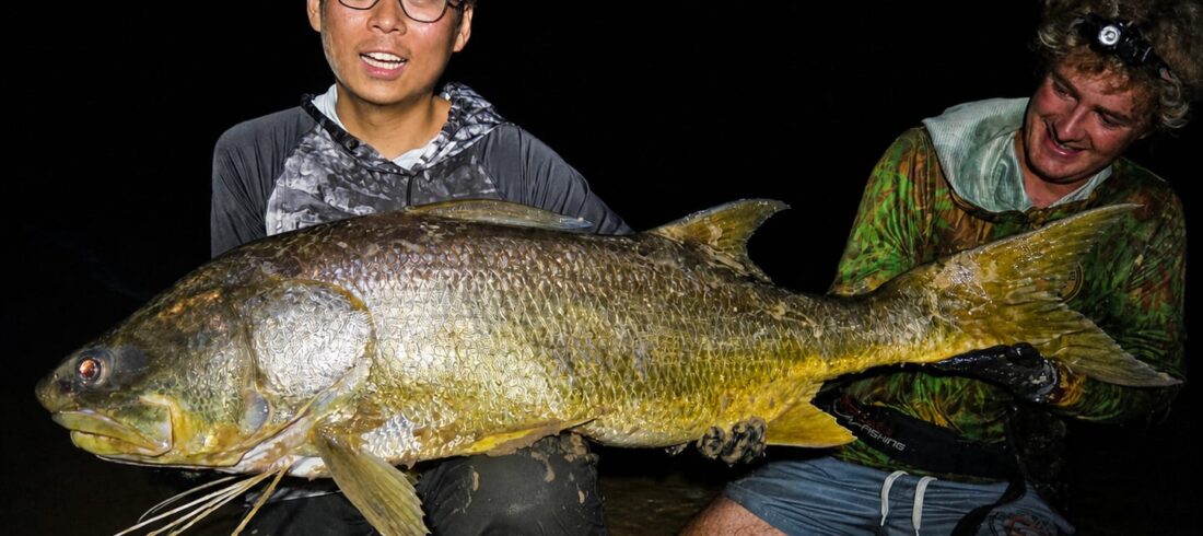 Night Fishing in Gabon