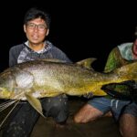 Night Fishing in Gabon