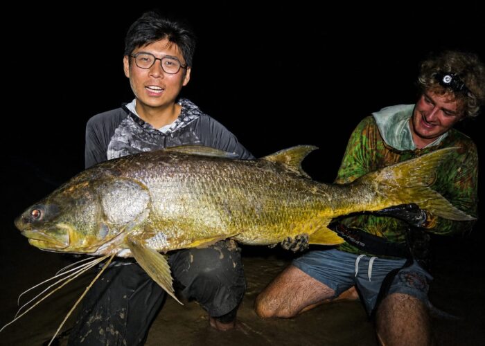Night Fishing in Gabon
