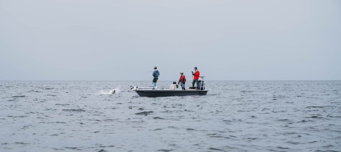 Port Gentil Tarpon Fishing
