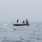 Port Gentil Tarpon Fishing