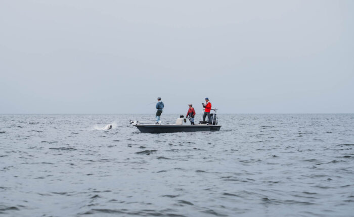 Port Gentil Tarpon Fishing