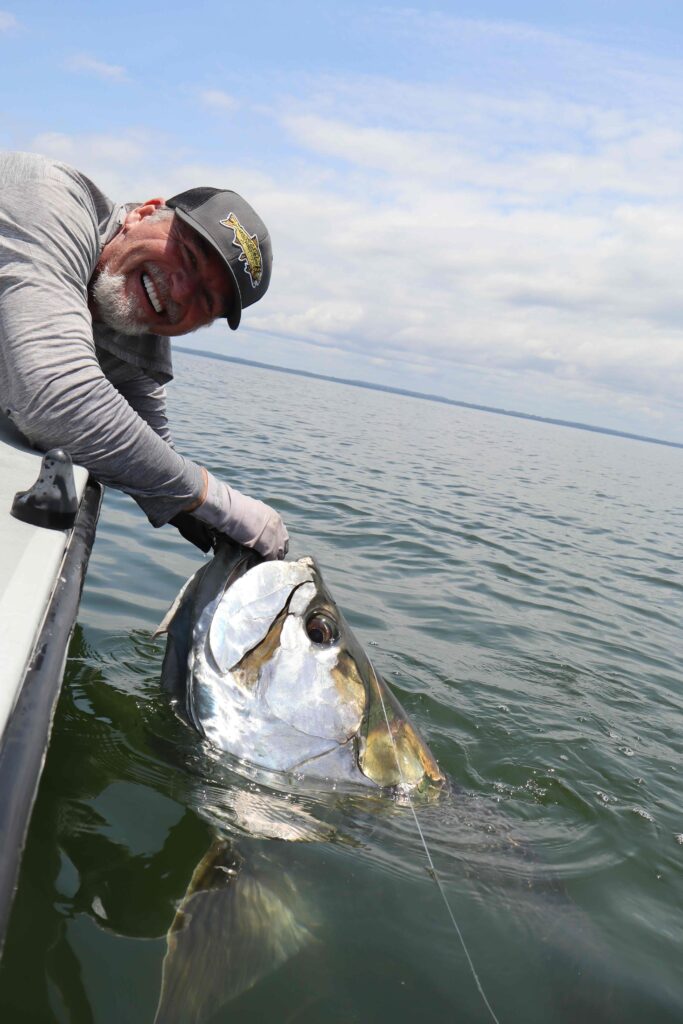 Port Gentil tarpon Fishing 205lb