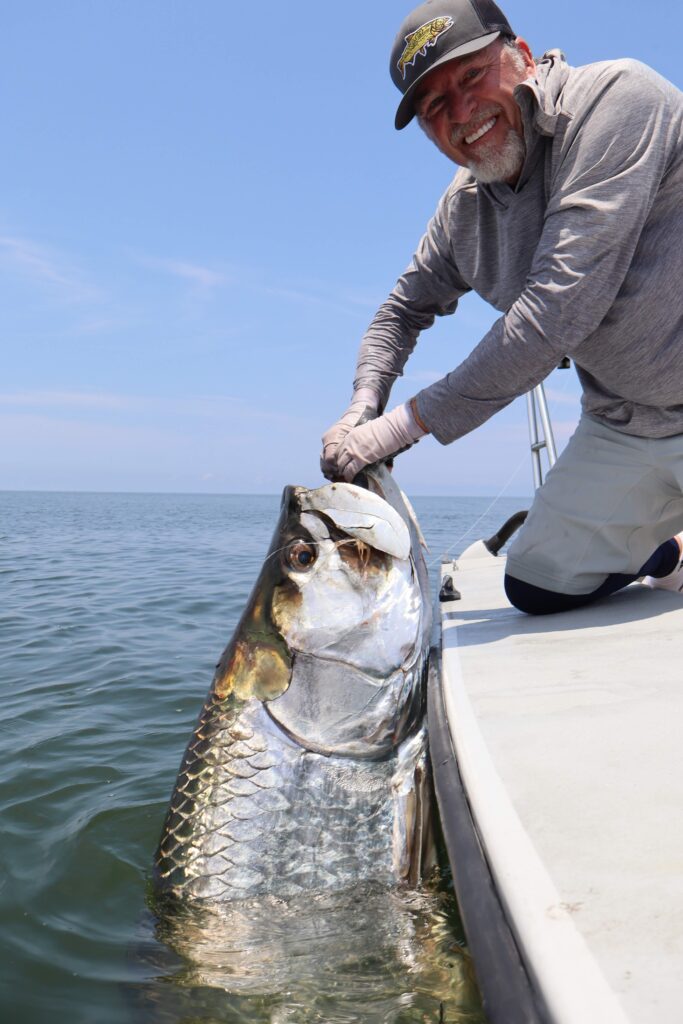 Port Gentil Tarpon Fishing Giants